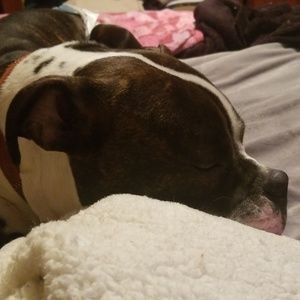 Meet your Posher, Kari